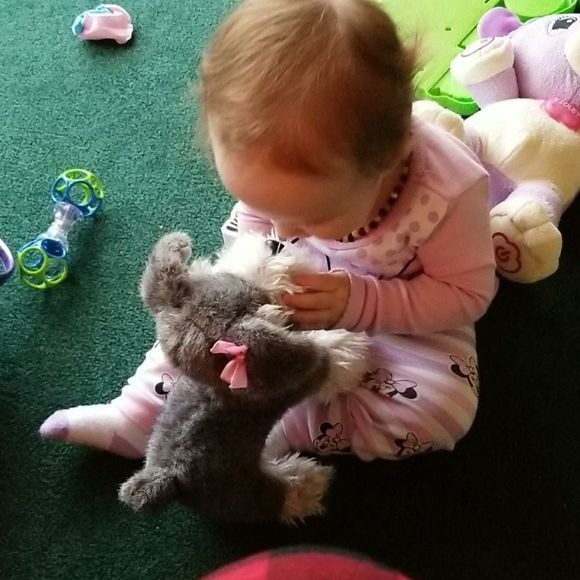 Meet your Posher, Sammi - Picture 1 of 1